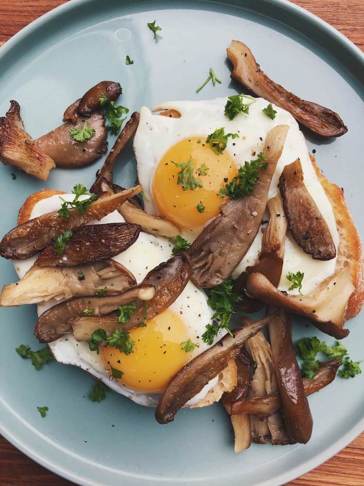 Brød med æg og østershatte ingredienser