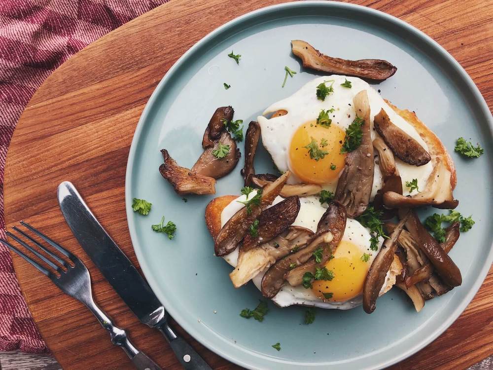 Brød med æg og østershatte